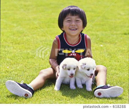 Child and two white puppies Child and two white puppies 618288
