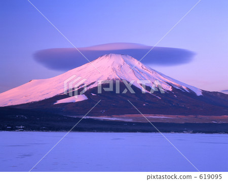 Wrapping Red Flower Fuji 619095