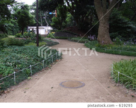 公園 道 道路 619293