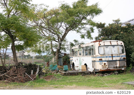 在樹下的腐朽的浴 620129