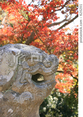 Guardian dog and autumn leaves Guardian dog and autumn leaves 620201