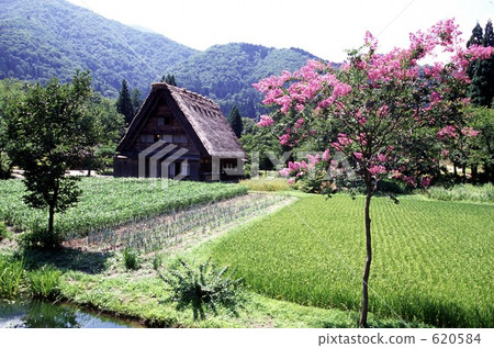 夏天的風景統一 620584