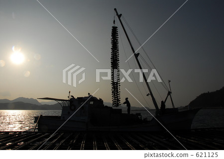 oyster boat, oyster raft, breeding 621125