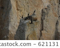 bare rock, rock face, rock surface 621131