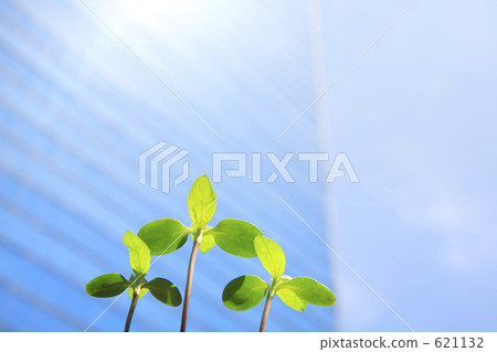 Corporate development image 621132