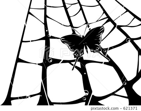Illustration of butterfly and spider's nest Illustration of butterfly and spider's nest 621371