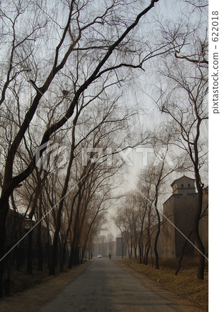 tree-lined road, pingyao, a castle wall 622018