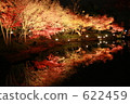 Mirror pond 622459