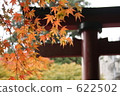 Autumnal leaves shrine 622502