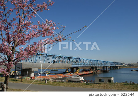 Kawazu cherry tree and Tozai line of Edogawa drainage road Kawazu cherry tree and Tozai line of Edogawa drainage road 622544