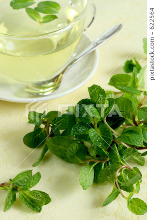  Herb tea  622564