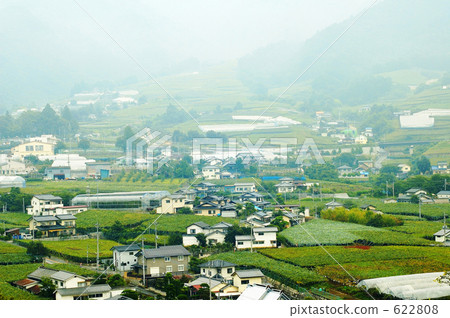 Katsunuma Vineyards 622808