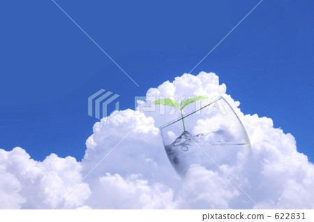 Ecology image 622831