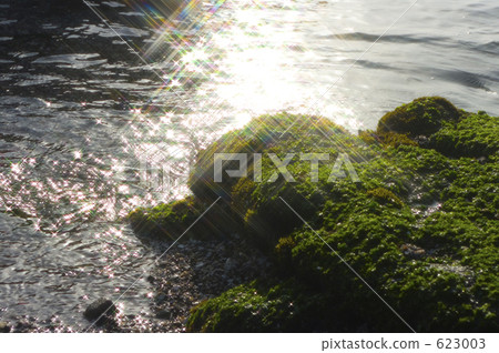 Shining water surface 623003