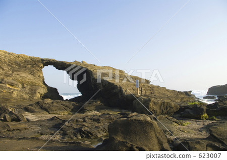 Horse Doraemon 623007