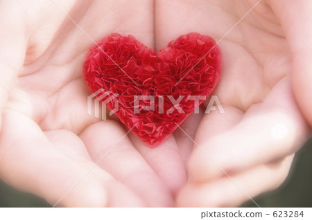 Heart in hand 623284