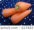 a carrot, vegetables, vegetable 623483