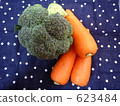 broccoli, a carrot, vegetables 623484