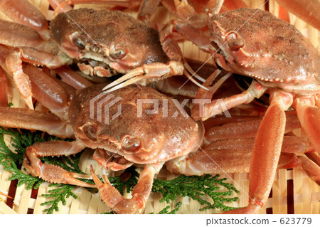 Crab (raw) 623779