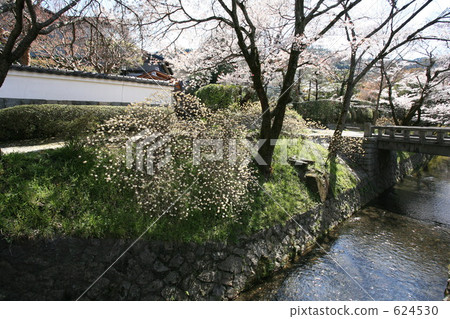 開花哲學的道路 開花哲學的道路 624530