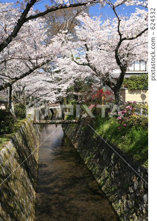 開花哲學的道路 開花哲學的道路 624532