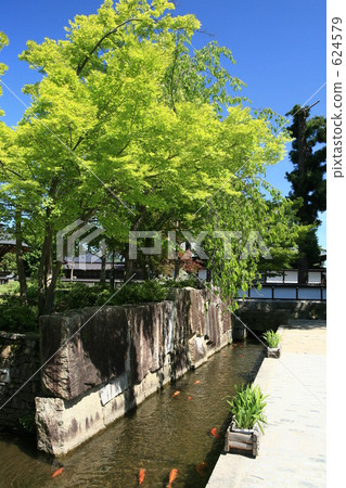 Hida Kagawa 624579
