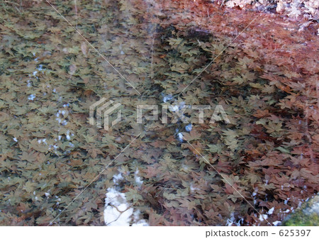 落葉 天 寒冷 625397