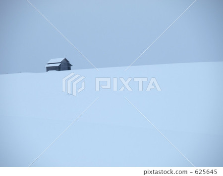 美瑛在冬天 625645