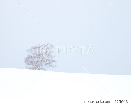 furano, ippongi, simplicity 625648