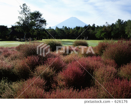 Broom broom and Fuji 626176