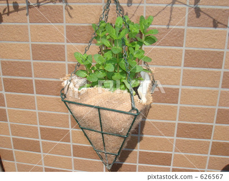 掛籃 掛籃 626567