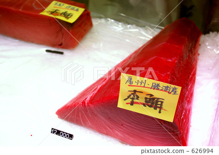 藍鰭 藍鰭 626994