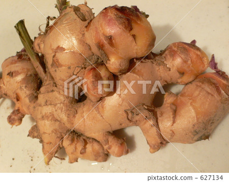 更大的薑2 627134