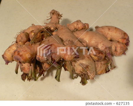 大姜 大姜 627135