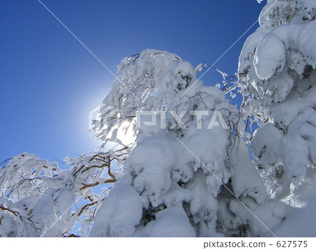 The warmth of the sun 627575