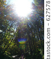 白天 夏天 夏 627578