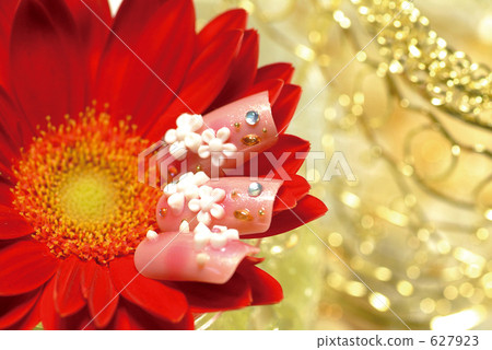 鮮花和美甲 627923