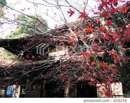 福納巴寺 628258