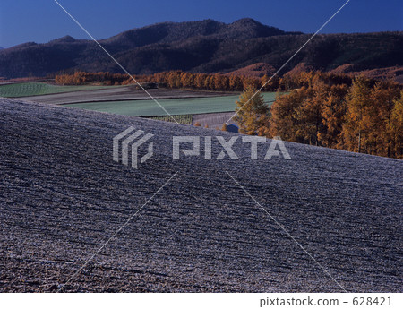 田園 田園風景 廣闊的 628421