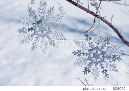 雪花 629082
