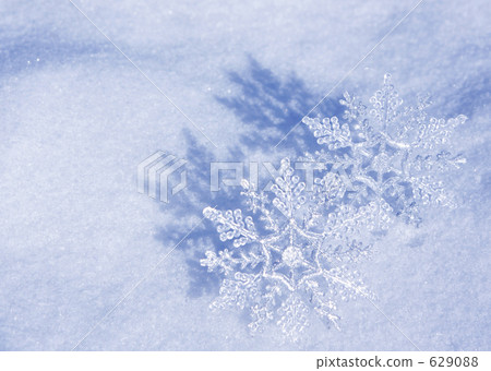 雪花 629088