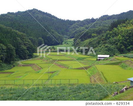 Countryside scenery of the mountains in Fukushima prefecture 629334