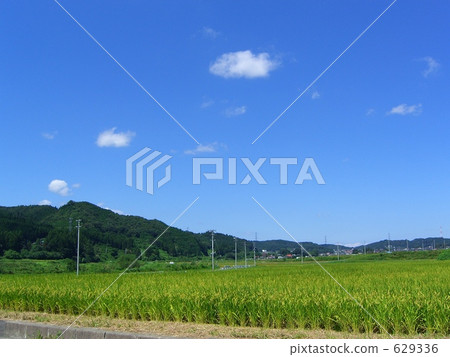 Scenery of rice fields in Tanagura-machi, Fukushima prefecture 629336