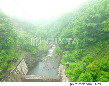foggy, misty, brook 629897