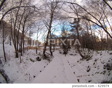 Tunnel to Midwinter Tunnel to Midwinter 629974