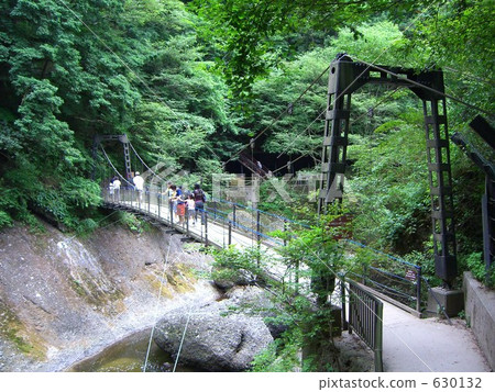 Suspension Bridge of Fukurodon Falls 630132
