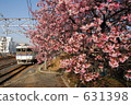 winter cherry blossoms, cherry blossom, cherry tree 631398