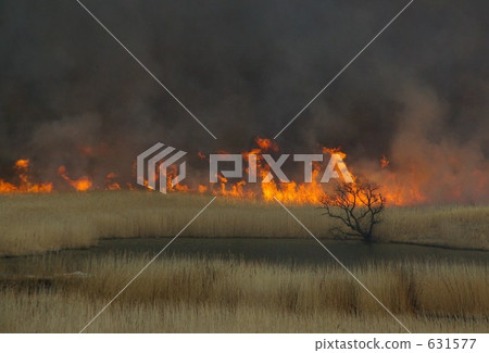 靜態和動態 631577