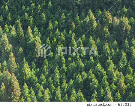 Sugiyama of the sky light 632033