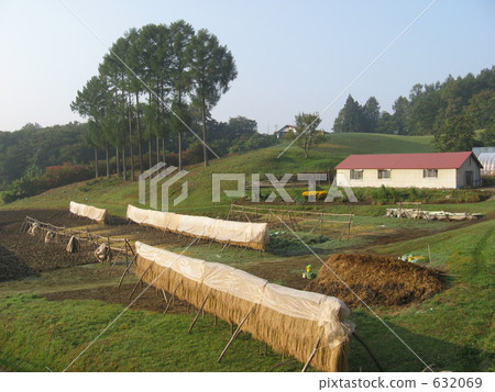 岩手縣的農村地區 632069